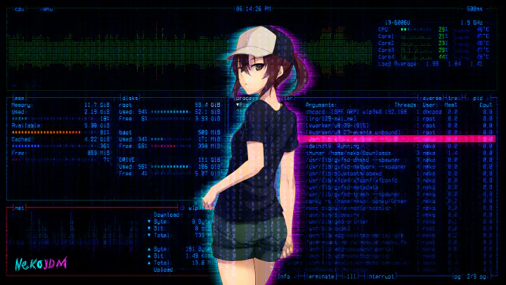 动漫黑客少女系统监控壁纸.png